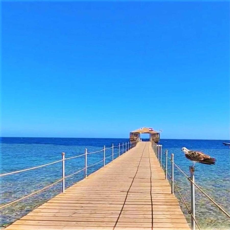 Rohanou Beach Resort El Qoseir Exterior photo